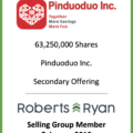 Pinduoduo - Selling Group Member February 2019