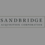 Co-Manager for Sandbridge Acquisition Corporation - March 2021
