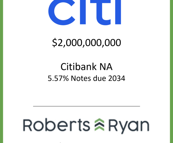 Tombstone - Citi 2024.04.23-03