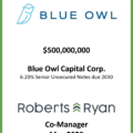Blue Owl Senior Unsecured Notes Due 2030 - May 2025